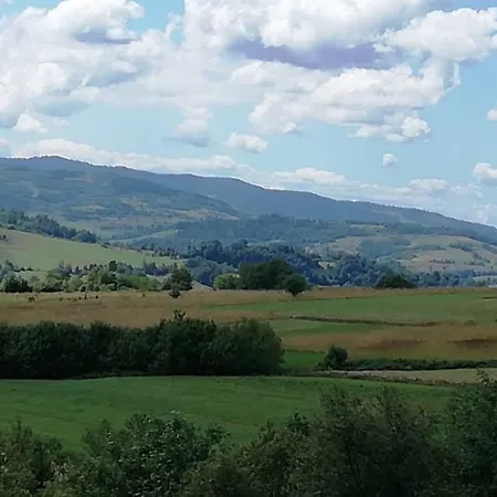 Lägenhet Nad Strumykiem Mszana Dolna